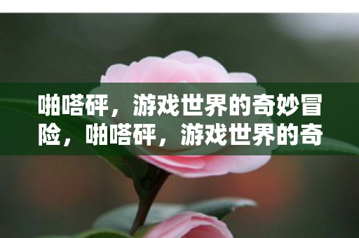 游戏世界的奇妙冒险之旅图片