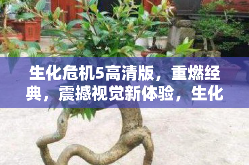 生化危机5高清版图片
