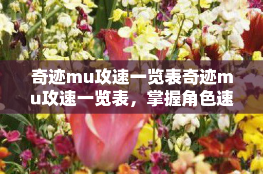奇迹mu攻速一览表奇迹mu攻速一览表图片