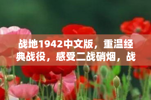 战地1942中文版图片