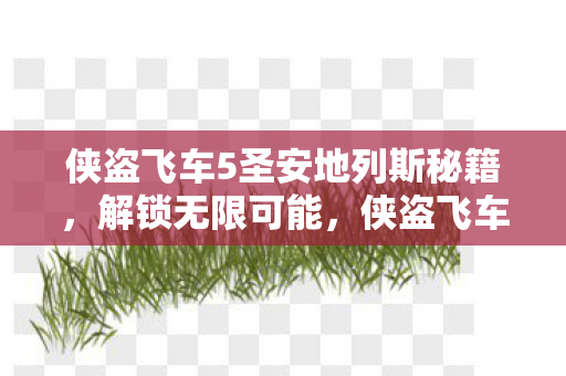 侠盗飞车5圣安地列斯秘籍解锁图片