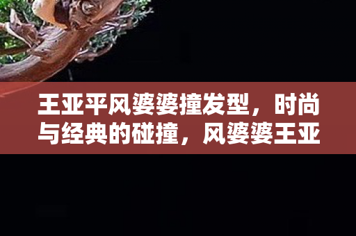 时尚与经典的完美融合图片