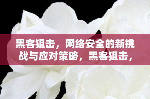 网络安全的新挑战与应对策略图片