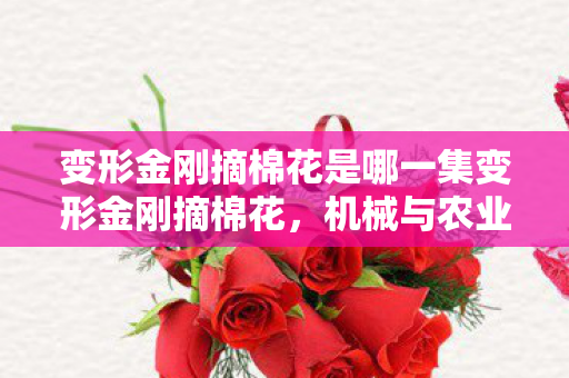 变形金刚摘棉花是哪一集变形金刚摘棉花图片