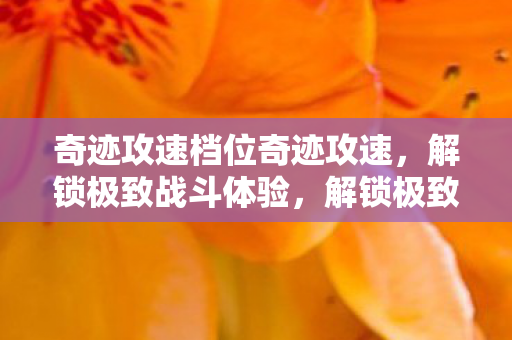 奇迹攻速档位奇迹攻速图片