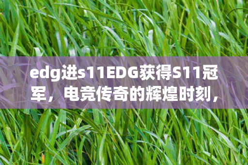 edg进s11EDG获得S11冠军图片