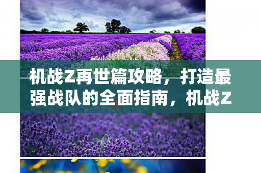 打造最强战队的全面指南图片