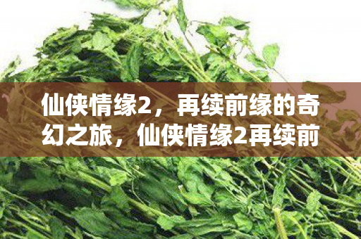 再续前缘的奇幻之旅图片