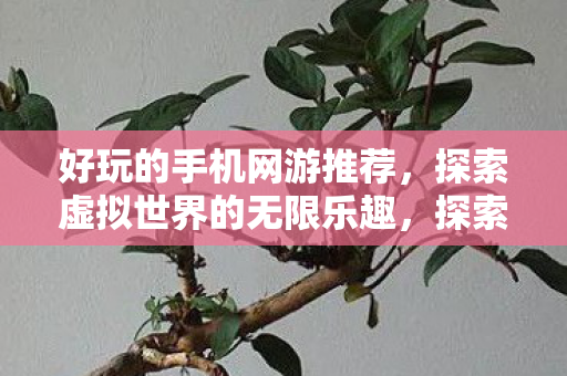探索虚拟世界的无限乐趣图片