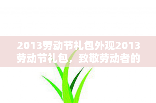 2013劳动节礼包外观2013劳动节礼包图片