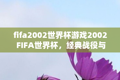 fifa2002世界杯游戏2002 FIFA世界杯图片