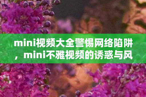 mini不雅视频背后的诱惑与风险图片