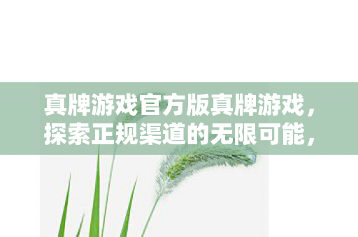 真牌游戏官方版真牌游戏图片