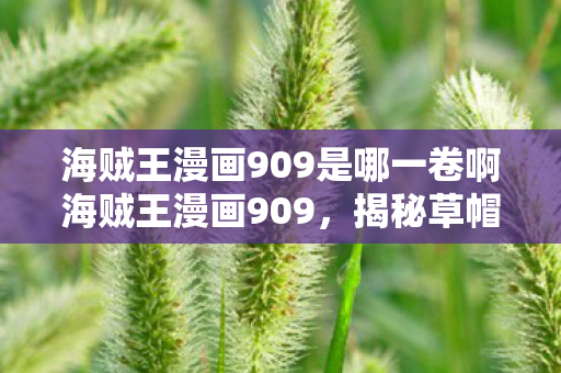 海贼王漫画909是哪一卷啊海贼王漫画909图片