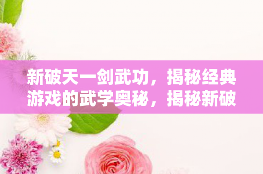 新破天一剑武功，揭秘经典游戏的武学奥秘，揭秘新破天一剑武功奥秘，经典游戏的武学秘籍