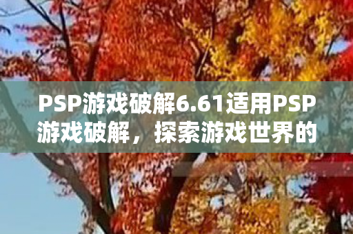 61适用PSP游戏破解图片