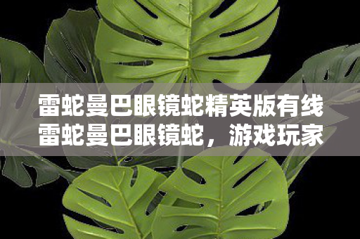 雷蛇曼巴眼镜蛇精英版有线雷蛇曼巴眼镜蛇图片