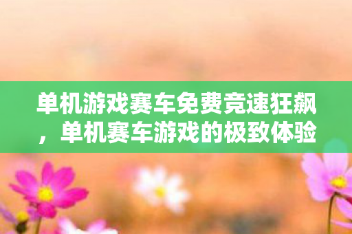 单机游戏赛车免费竞速狂飙图片