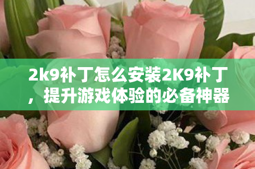 2k9补丁怎么安装2K9补丁图片