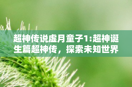 虚月童子1开启奇幻冒险之旅图片