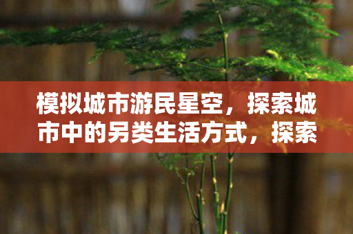 探索城市中的另类生活方式图片