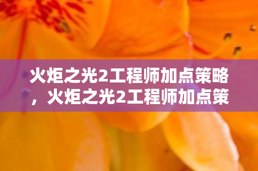 火炬之光2工程师加点策略全解析图片