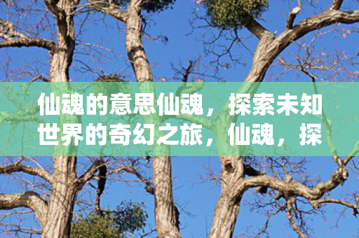 探索未知世界的奇幻之旅图片