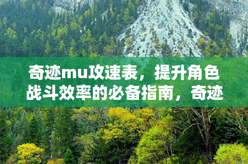 提升角色战斗效率的必备指南图片
