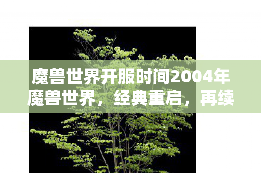 魔兽世界开服时间2004年魔兽世界图片