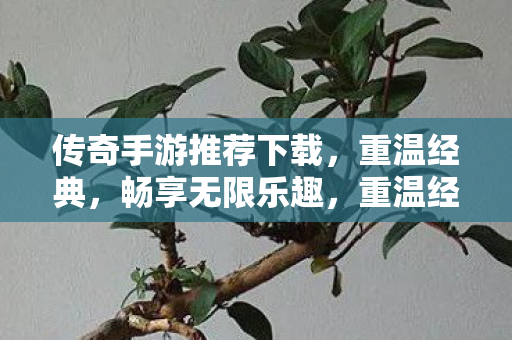 传奇手游推荐下载图片