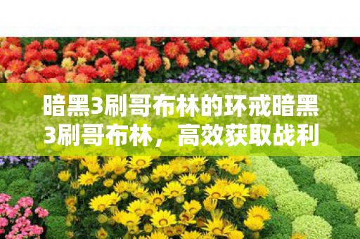 暗黑3刷哥布林的环戒暗黑3刷哥布林图片