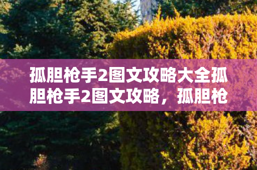孤胆枪手2图文攻略大全孤胆枪手2图文攻略图片