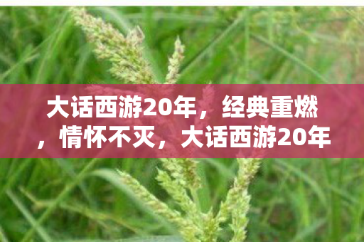 大话西游20年图片