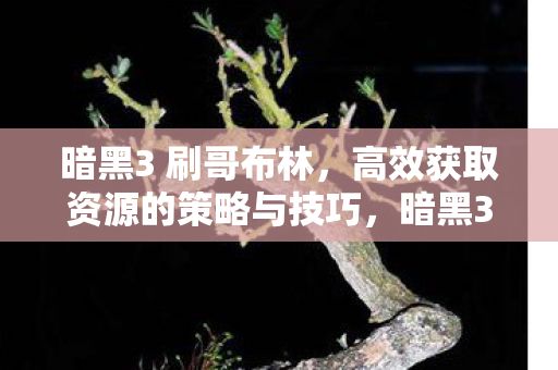 高效获取资源的策略与技巧图片