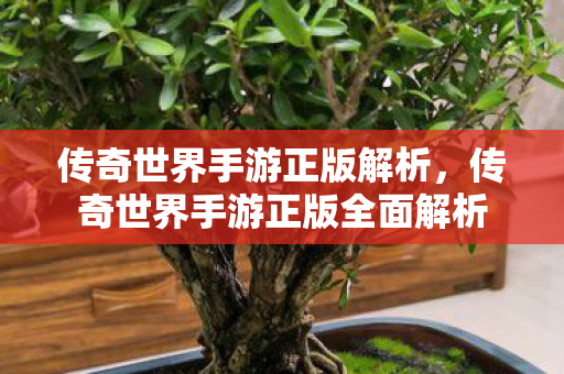 传奇世界手游正版全面解析图片