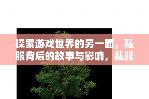 探索游戏世界的另一面图片