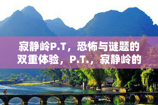 寂静岭的恐怖与谜题之旅图片