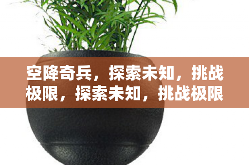 空降奇兵图片