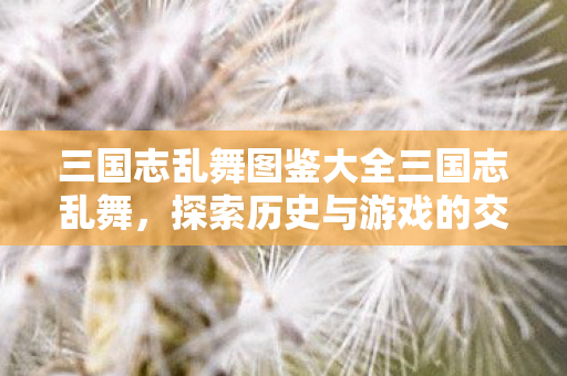 三国志乱舞图鉴大全三国志乱舞图片