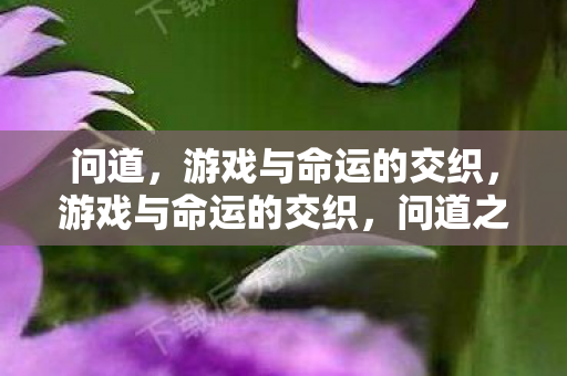 问道,游戏与命运的交织,游戏与命运的交织,问道之旅 问道,游戏与命运的交织,游戏与命运的交织,问道之旅