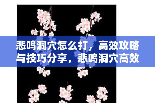 高效攻略与技巧分享图片
