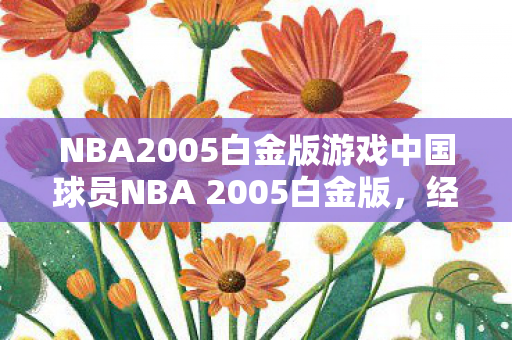 NBA2005白金版游戏中国球员NBA 2005白金版图片