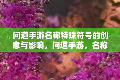 问道手游名称特殊符号的创意与影响，问道手游，名称特殊符号的创意与影响