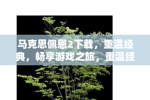 马克思佩恩2免费下载图片