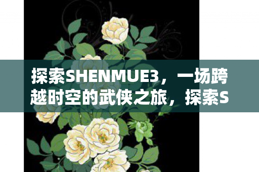 一场跨越时空的武侠之旅图片
