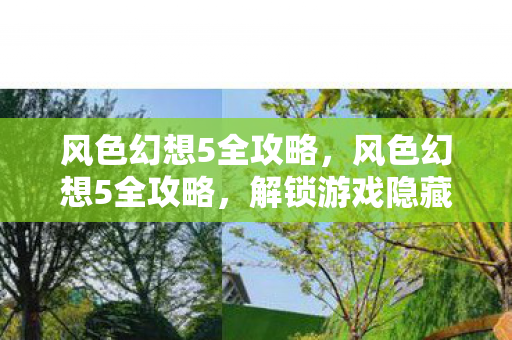 风色幻想5全攻略图片