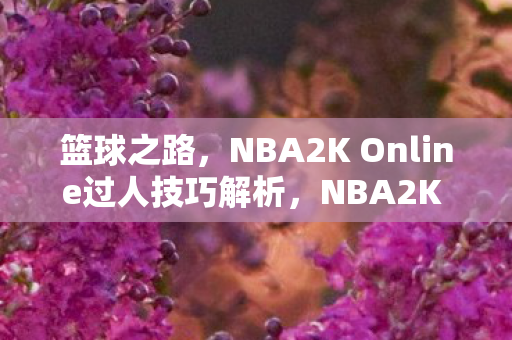 NBA2K Online过人技巧解析图片