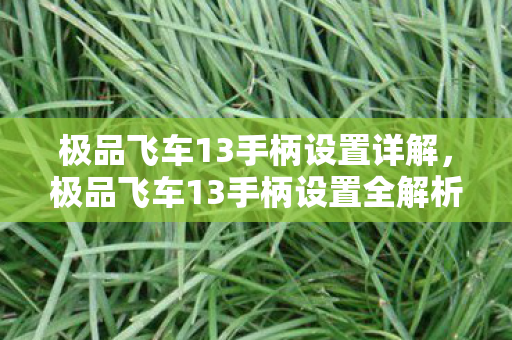极品飞车13手柄设置全解析图片