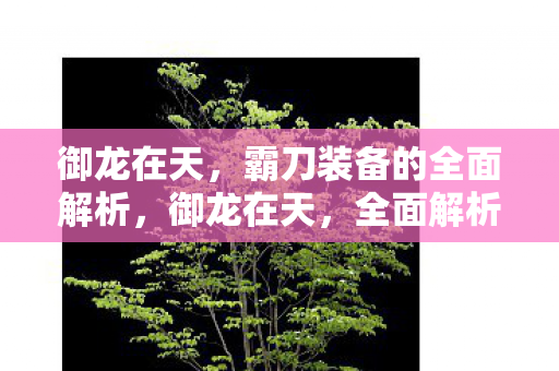 霸刀装备的全面解析图片