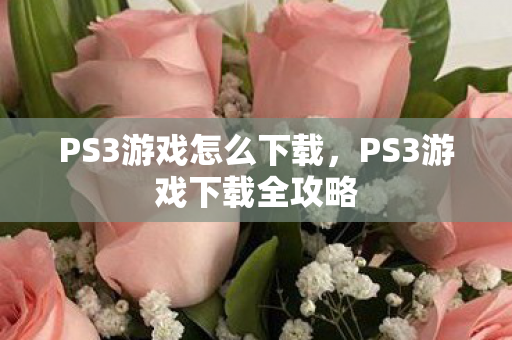PS3游戏下载全攻略图片